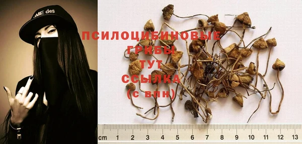 каннабис Дрезна